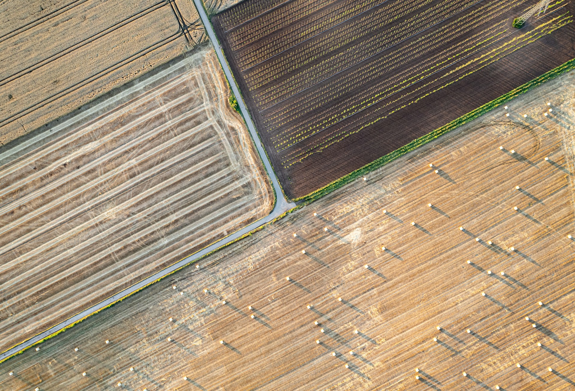 Landwirtschaftliche Flächen im Münsterland aus der Vogelperspektive